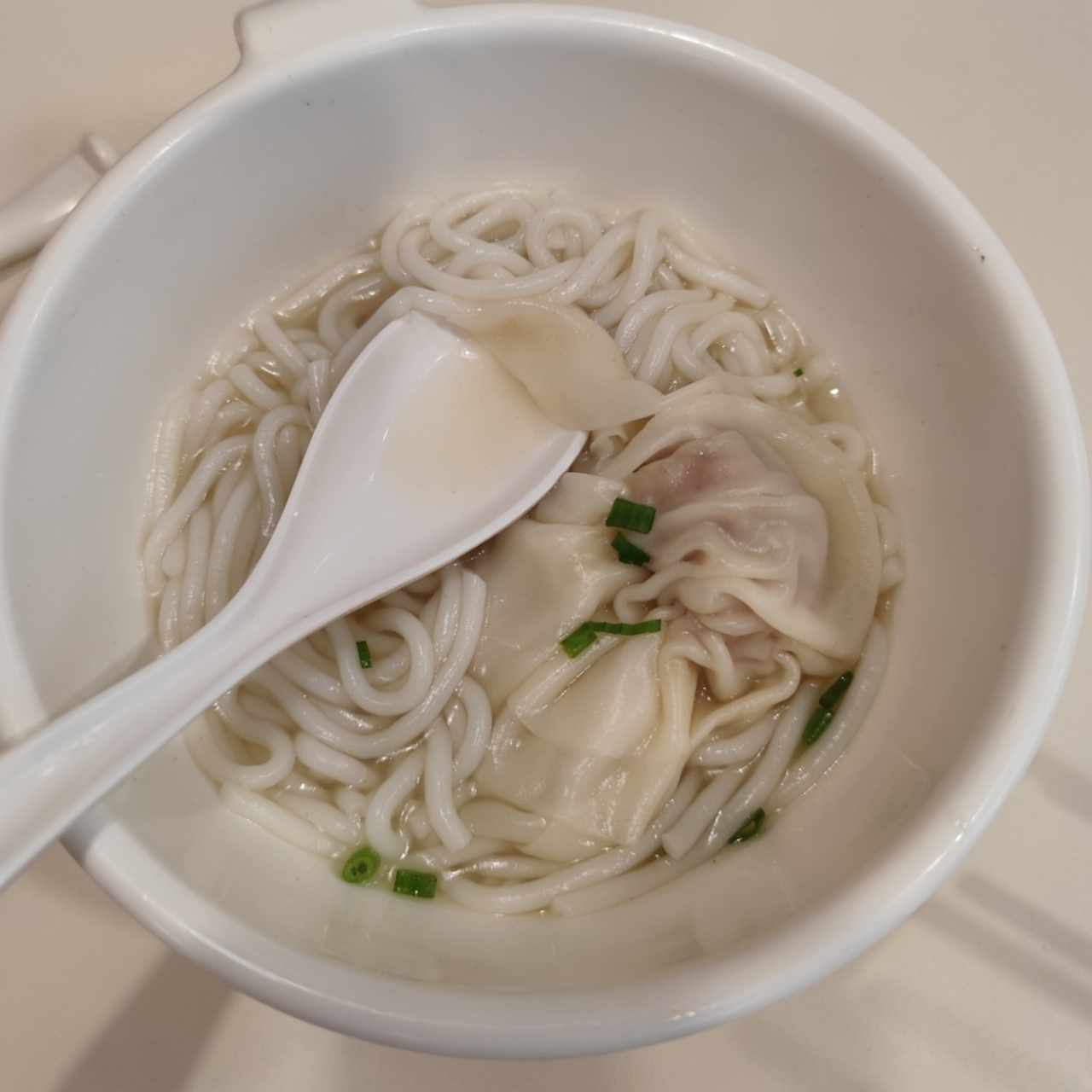 SOPA DE WANTON DE PUERCO