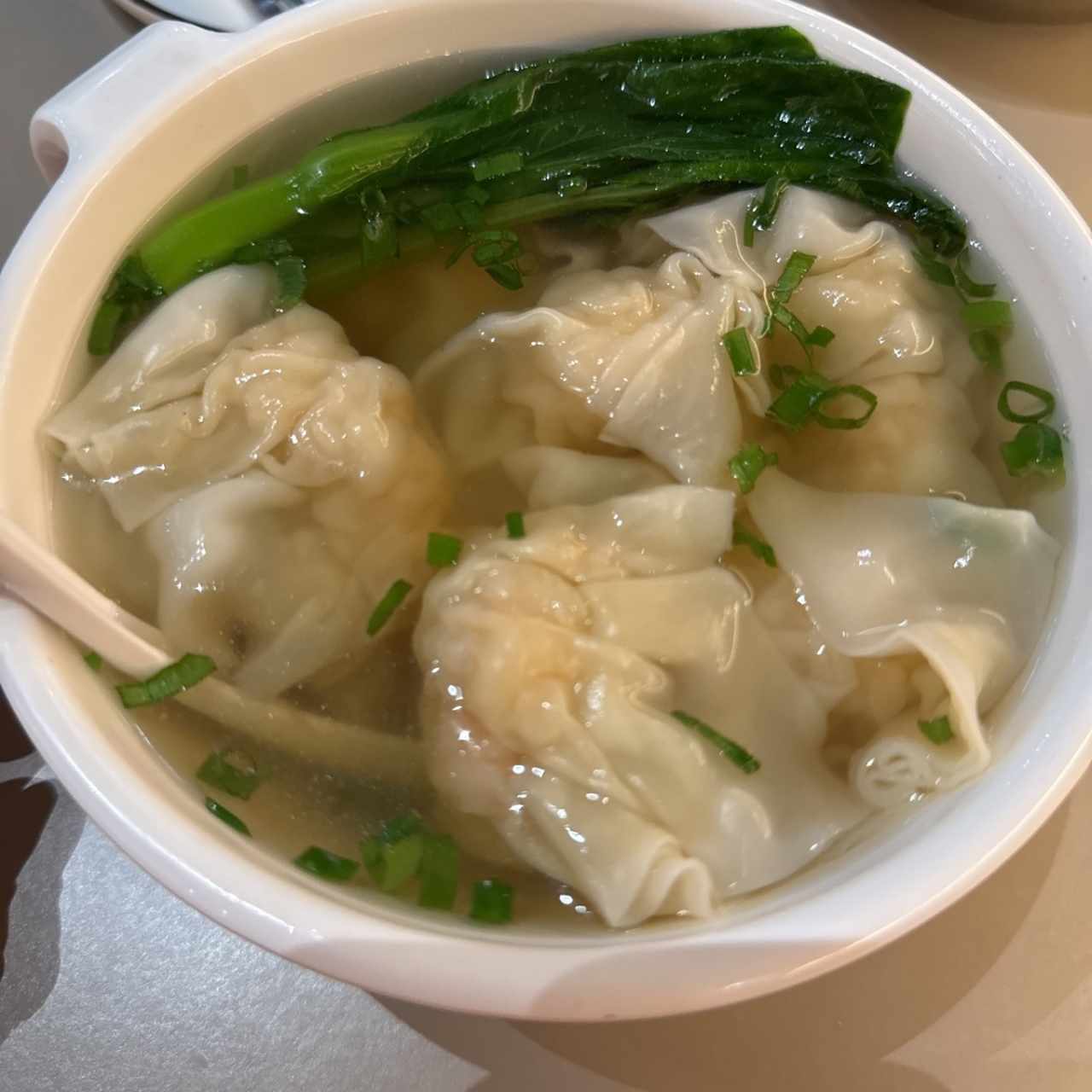SOPA DE WANTON DE CAMARONES