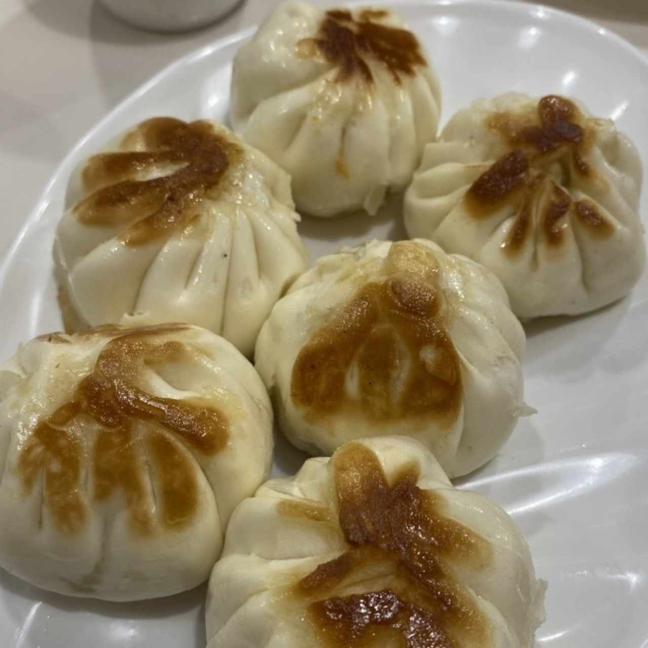 HAMPAO DE PUERCO FRESCO