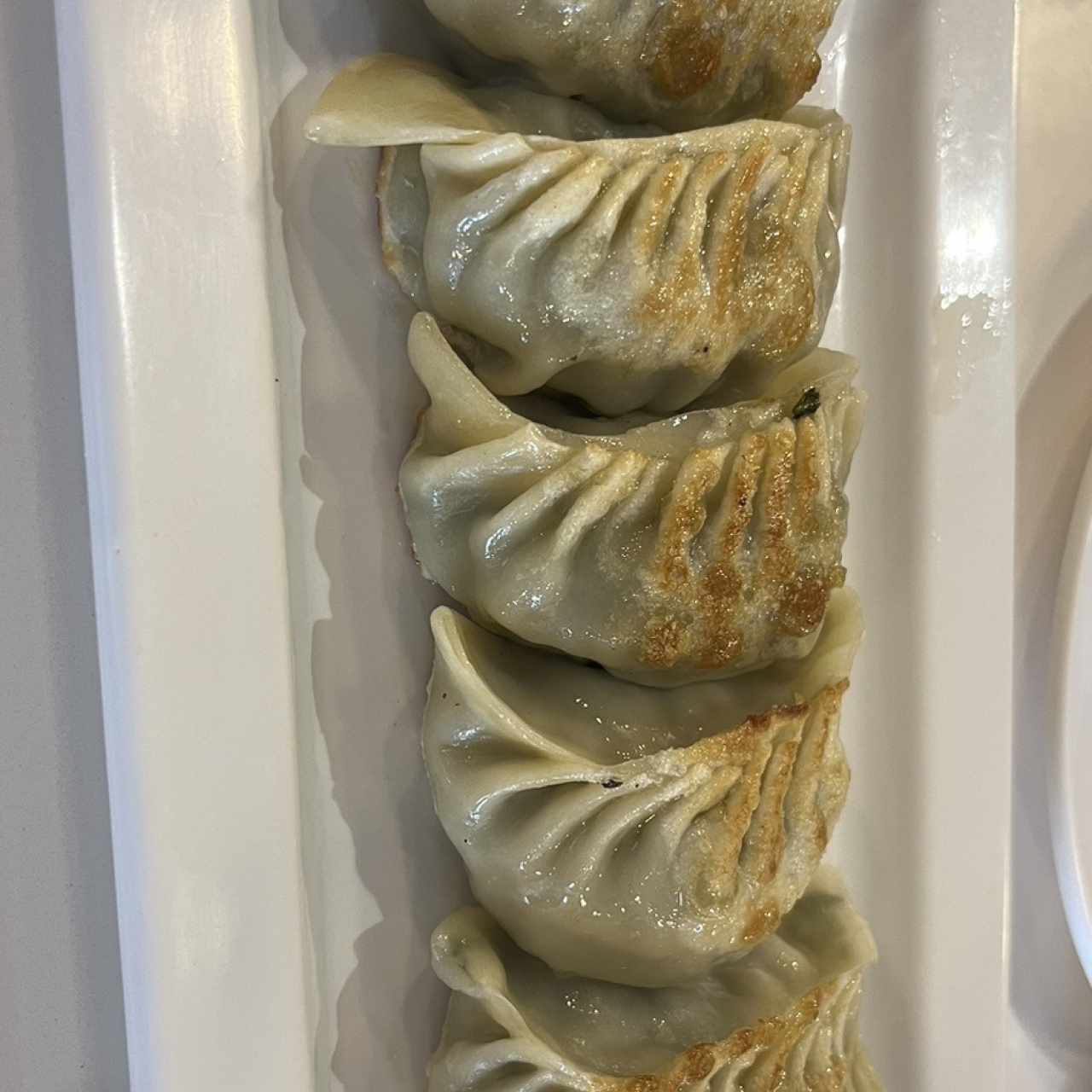 DIM SUM - WO TIP DUMPLING