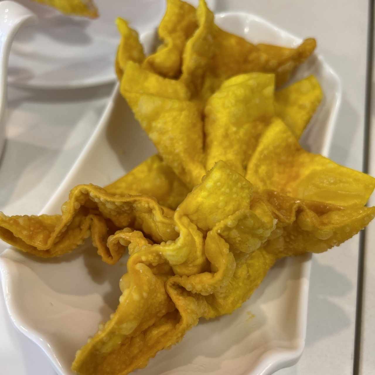 DIM SUM - WANTON FRITO