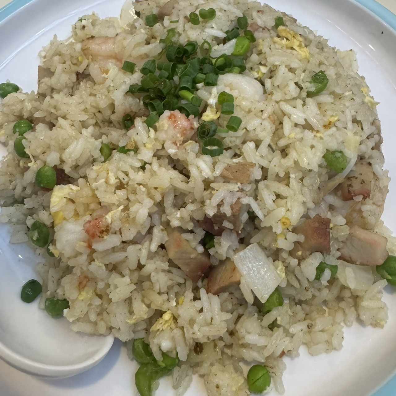 STREET FOOD - ARROZ FRITO YANGZHOU