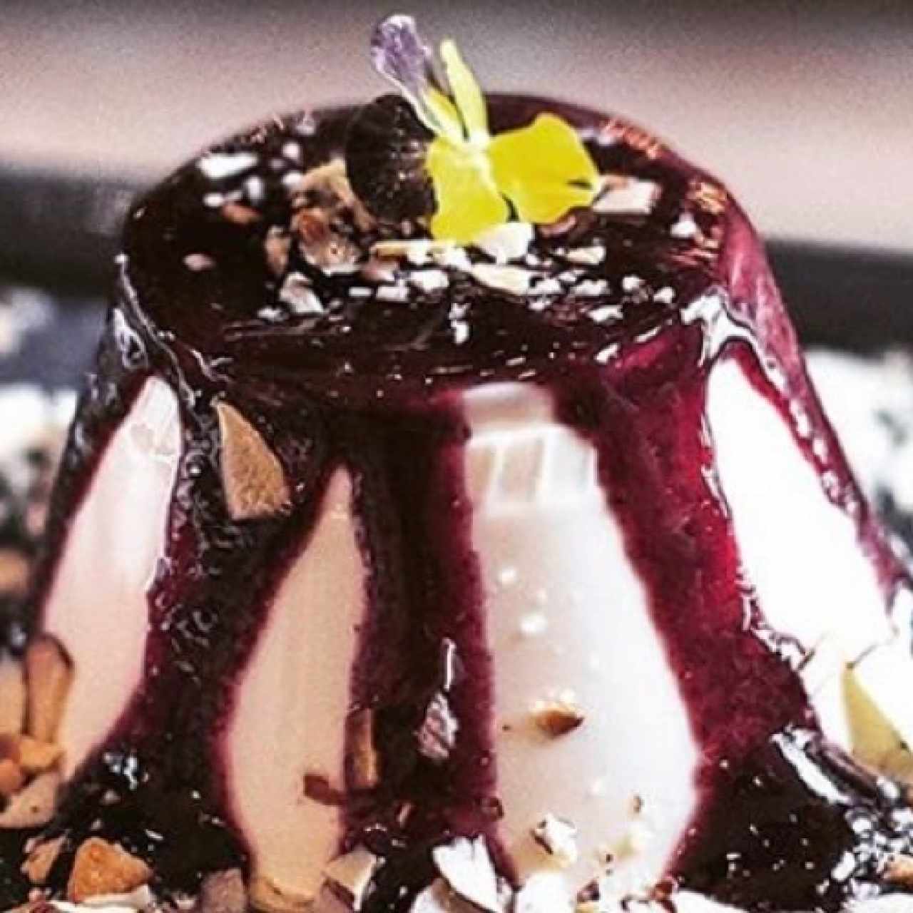 Panna Cotta 🤤