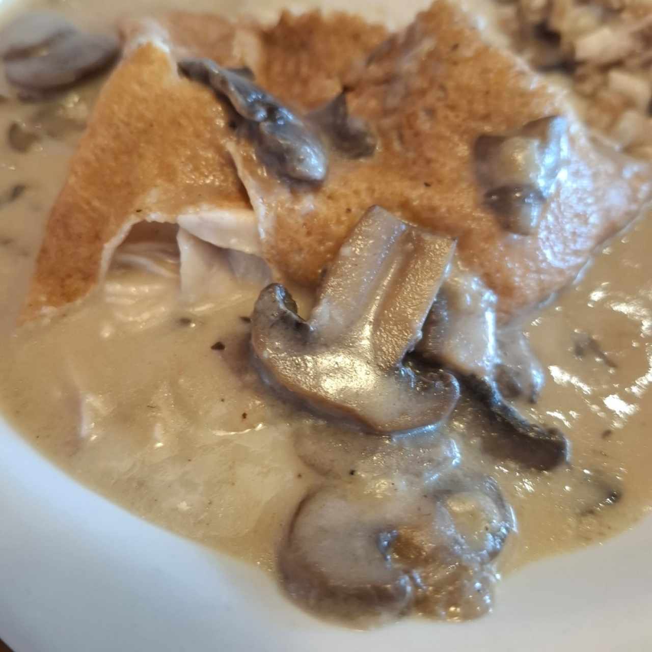 Pollo , Queso y Champiñones