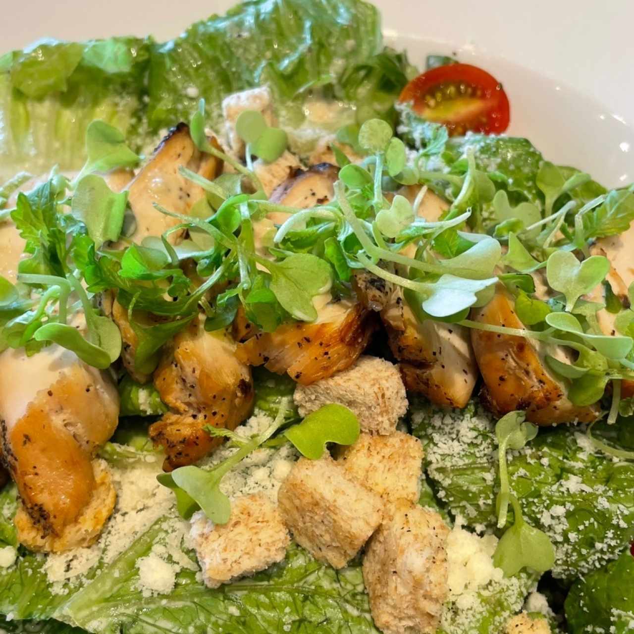 Ensalada César Con Pollo