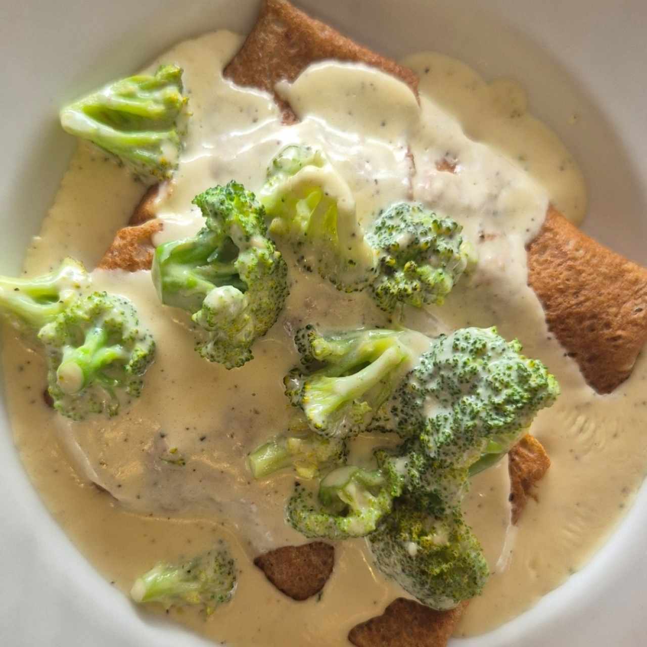 Pollo,Brocoli y Queso