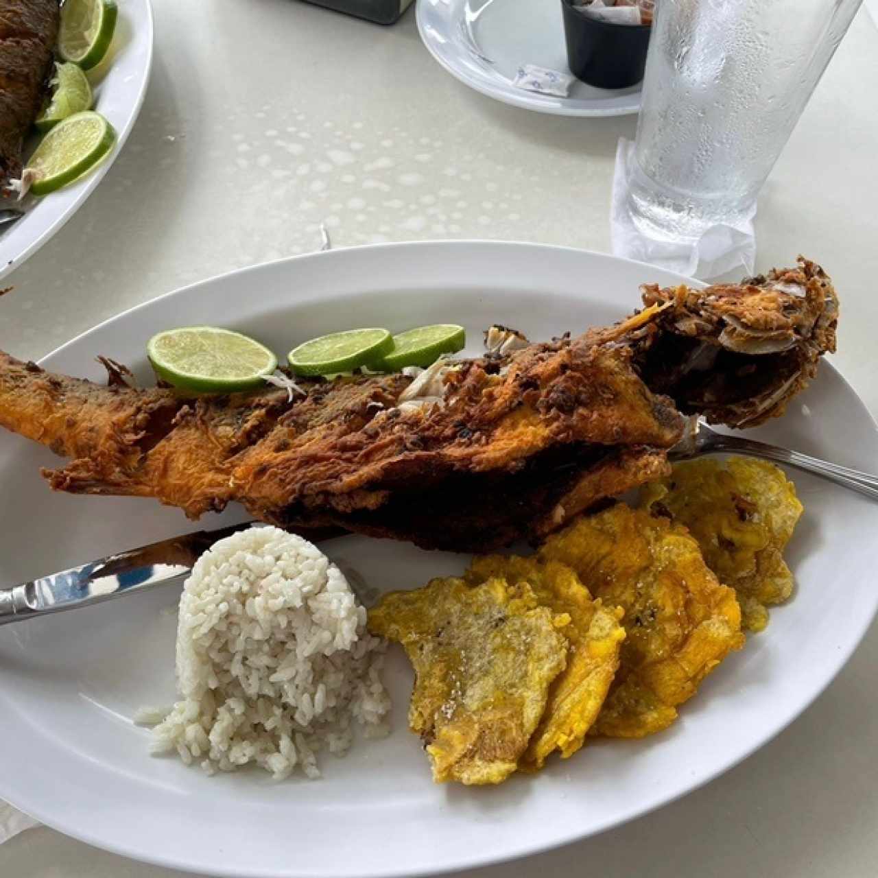 Plato Fuerte - Chicharrón de Pescado