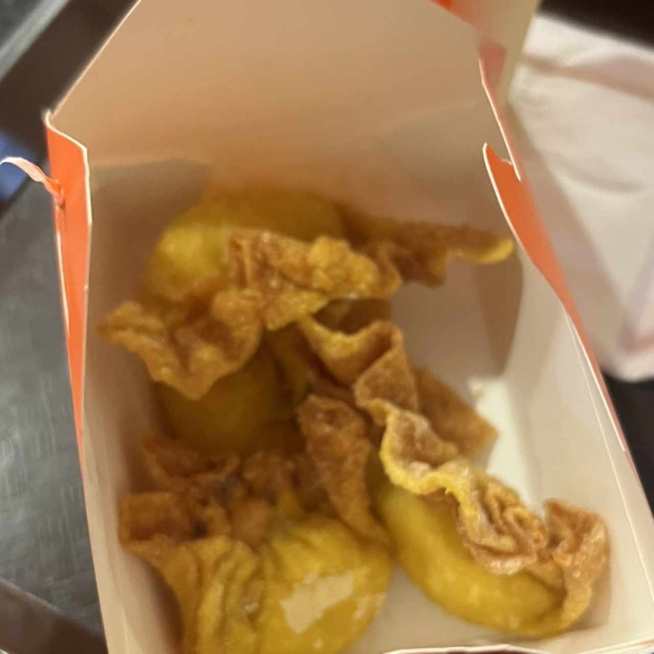 Delicias Complementarias - Wantón Frito