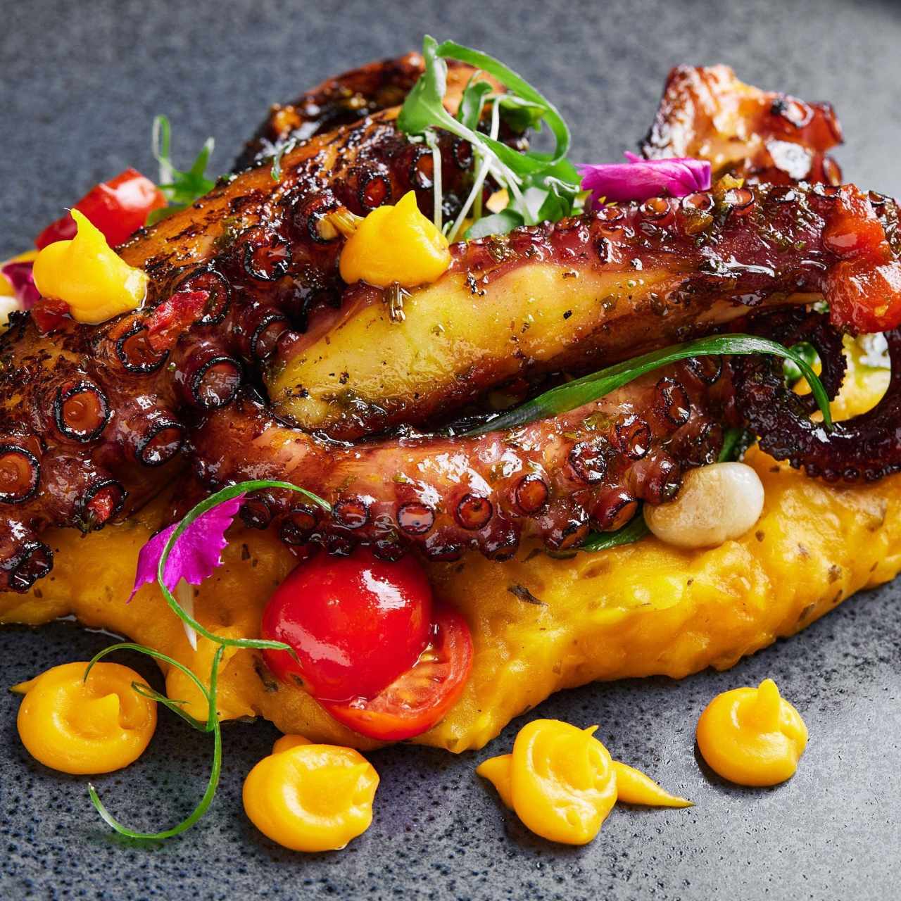 Pulpo Bastimentos