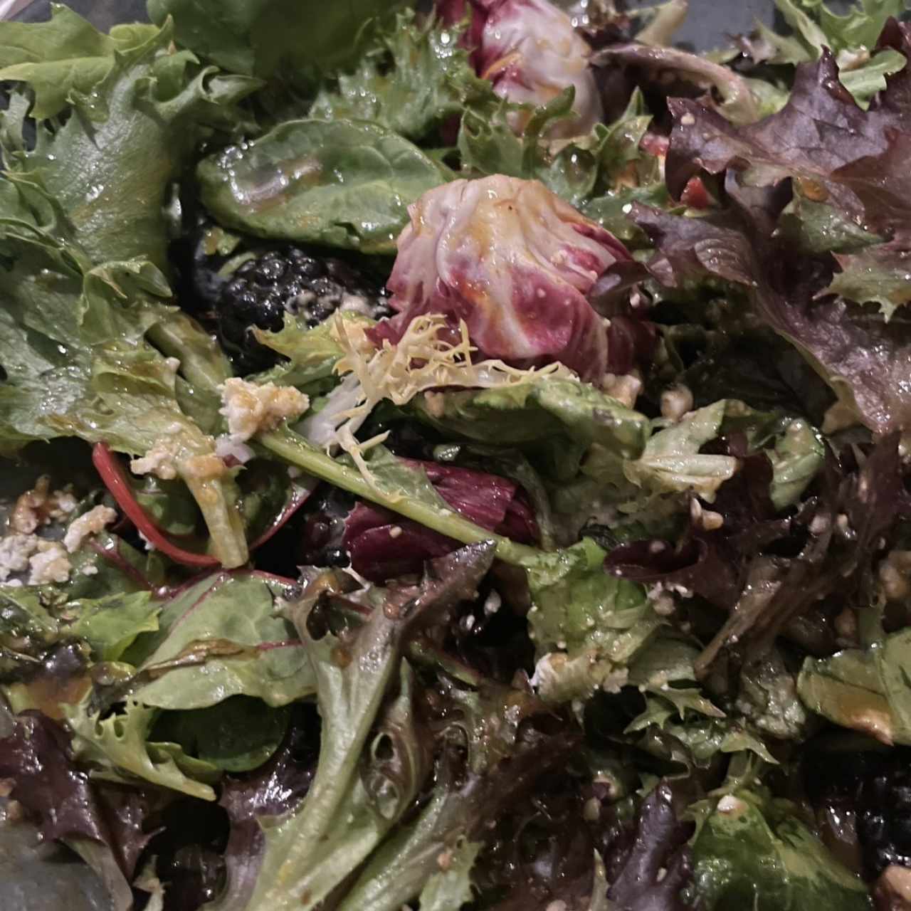 Ensaladas - Ensalada de Cabra
