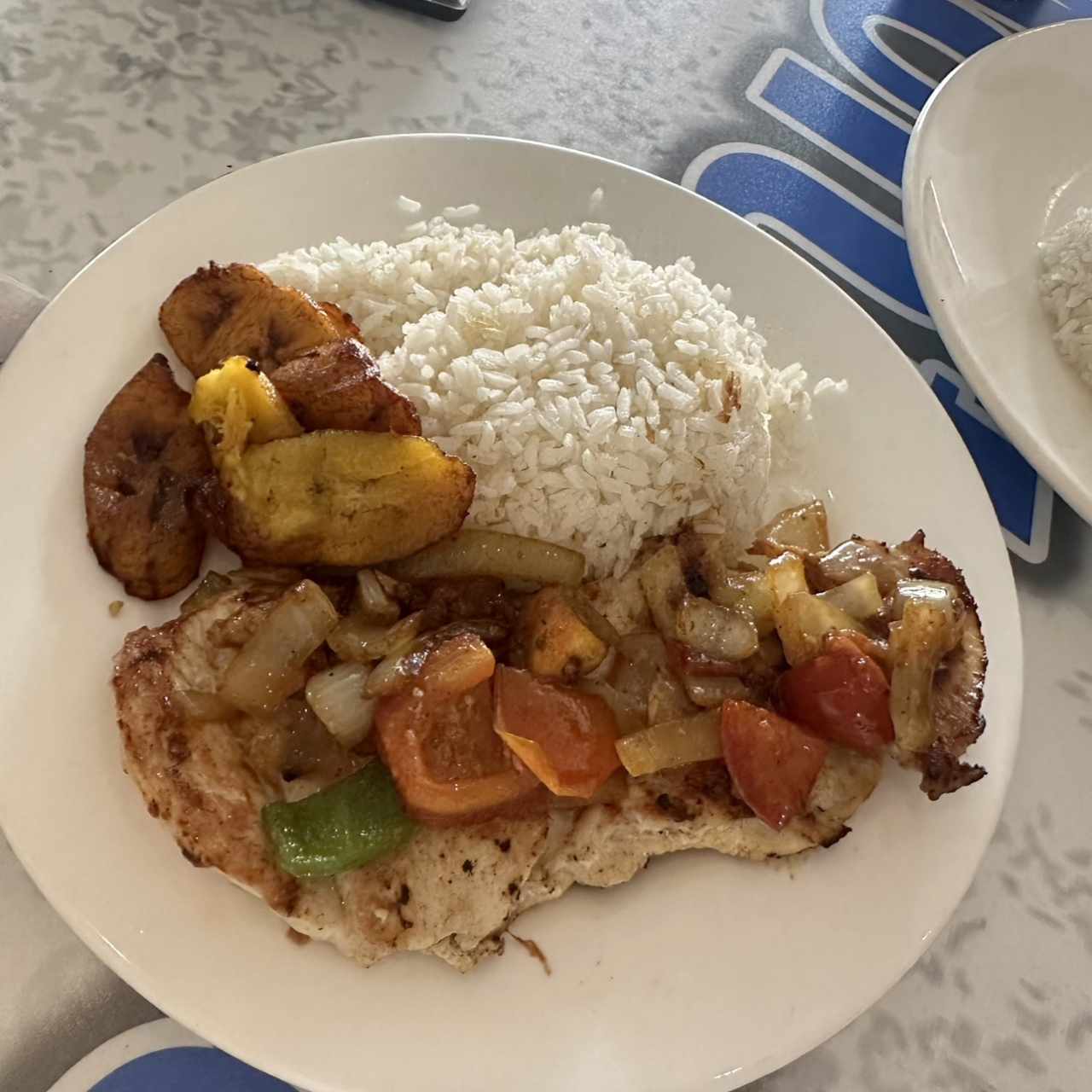 Filete de Pollo con vegetales