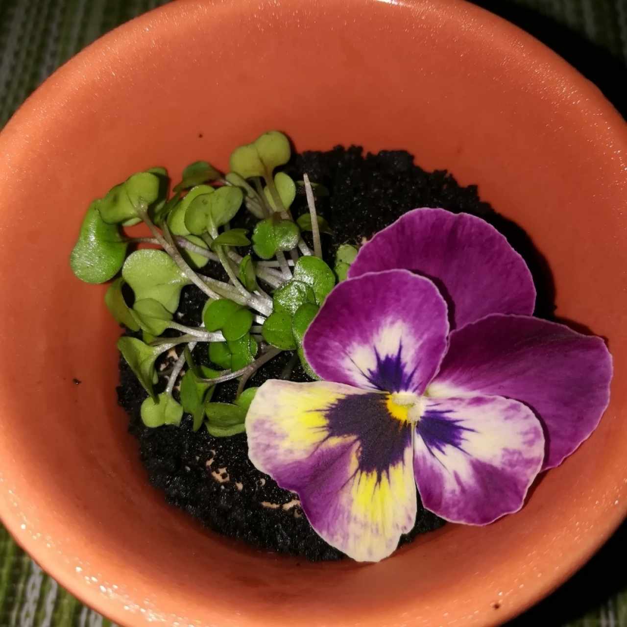 Cortesía de la casa