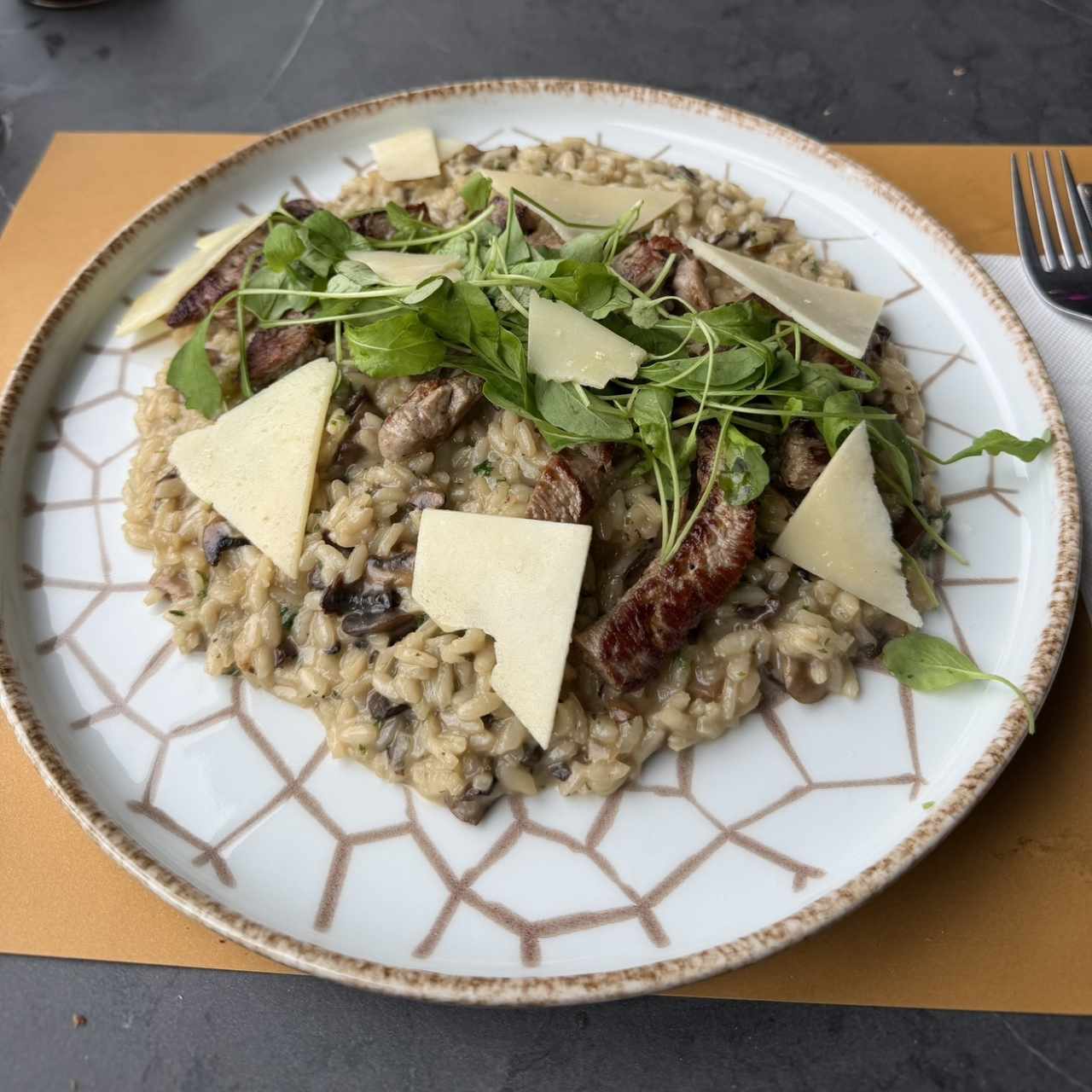 Risotti - Risotto Al Funghi con carne 