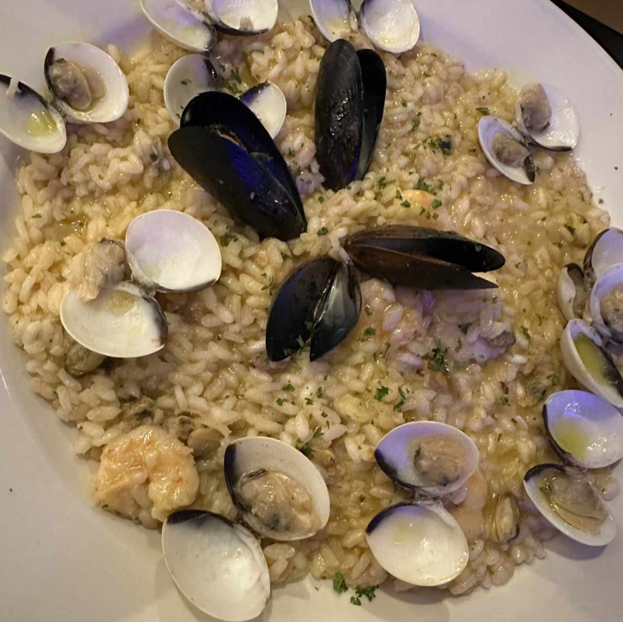 Risotto al Fruti di Mare