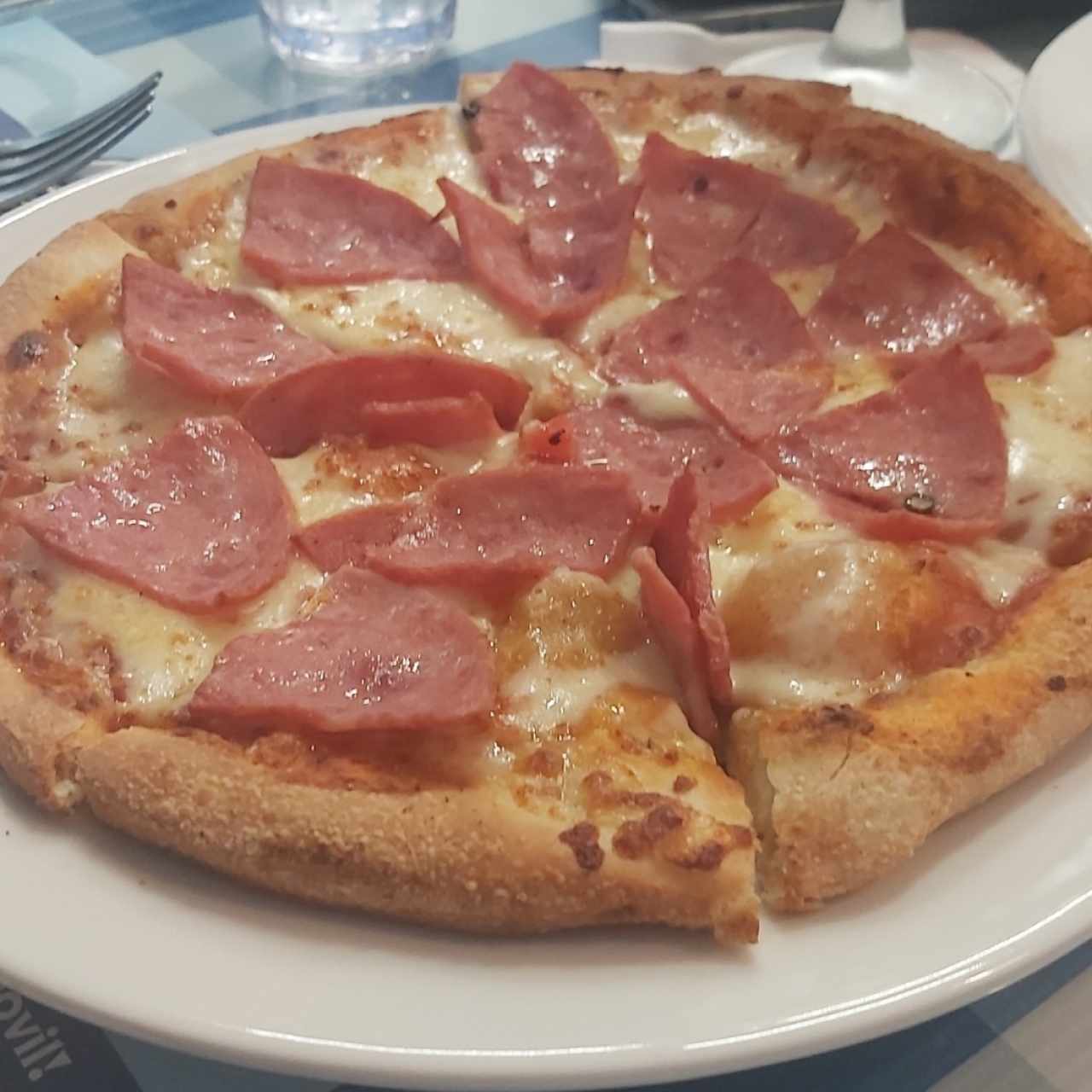 Pizza - Pizza de Salami