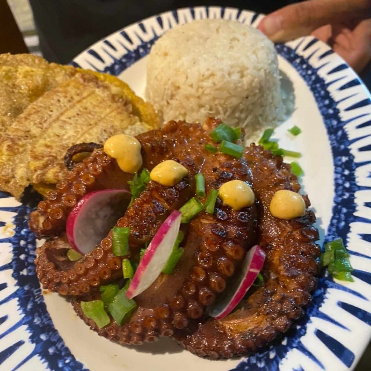 Pulpo al grill con arroz con coco 