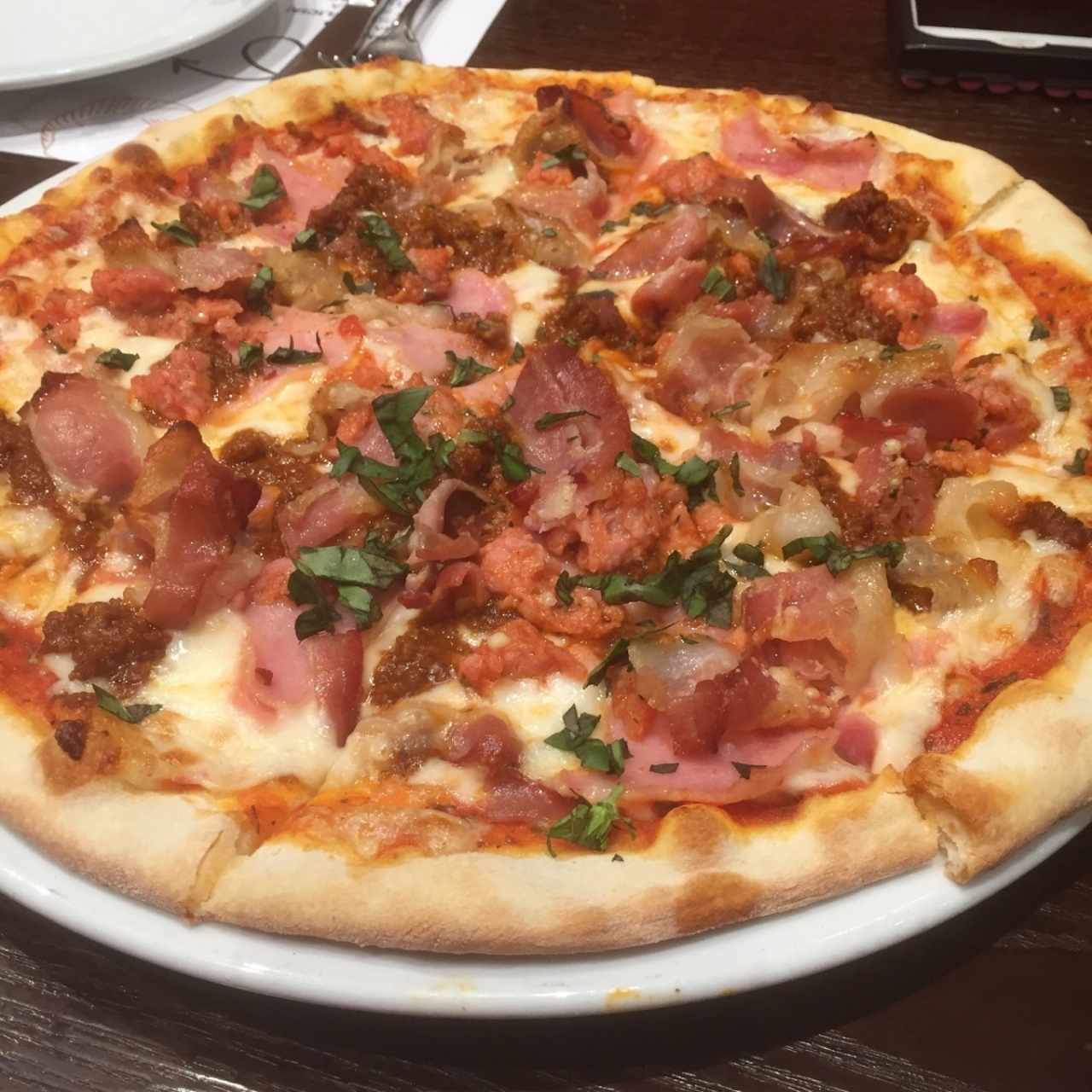 carnivora