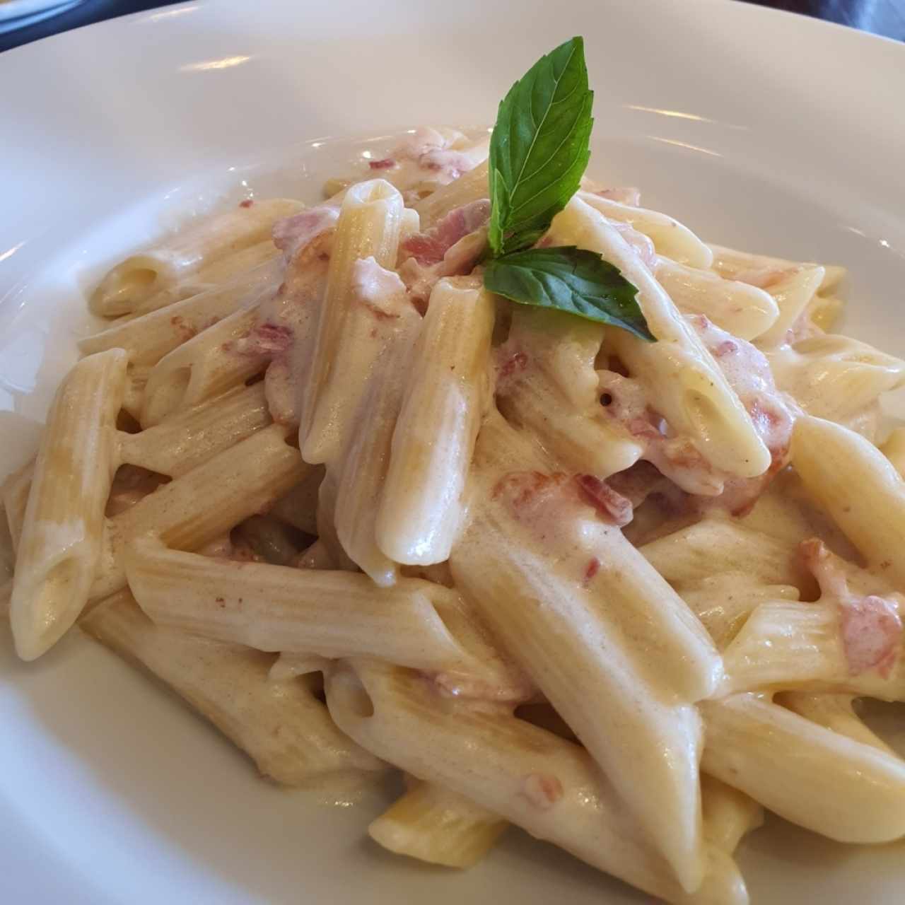 penne carbonara