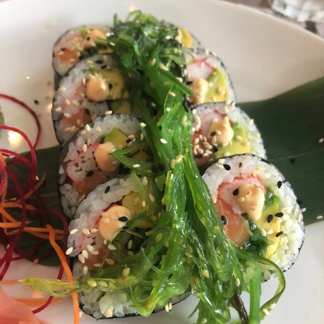 Rolls - Oceánico