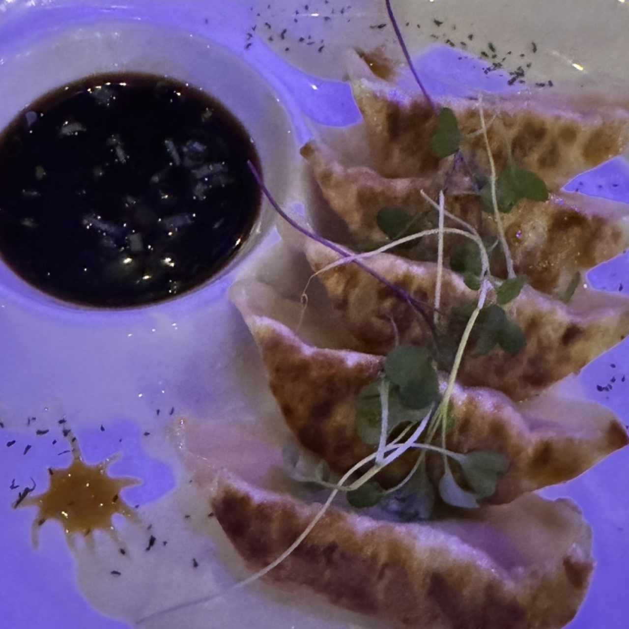 Entradas - Gyoza