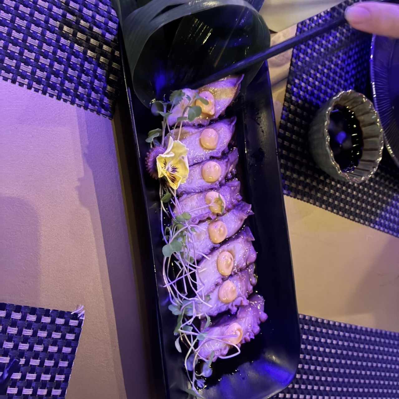 Tiradiro de pulpo