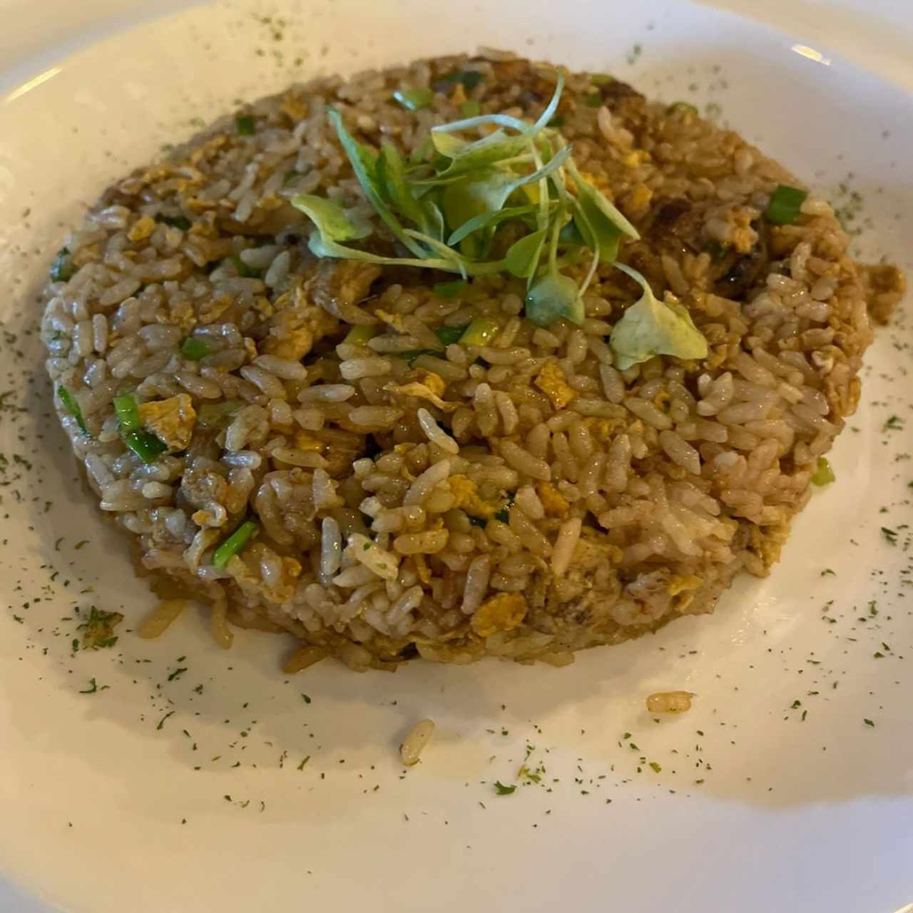 Yakimeshi de Pollo