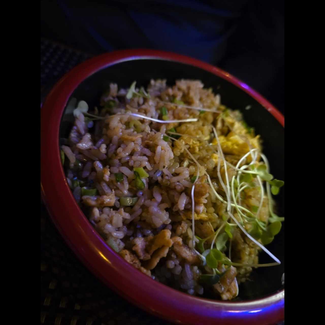 Yakimeshi- pollo