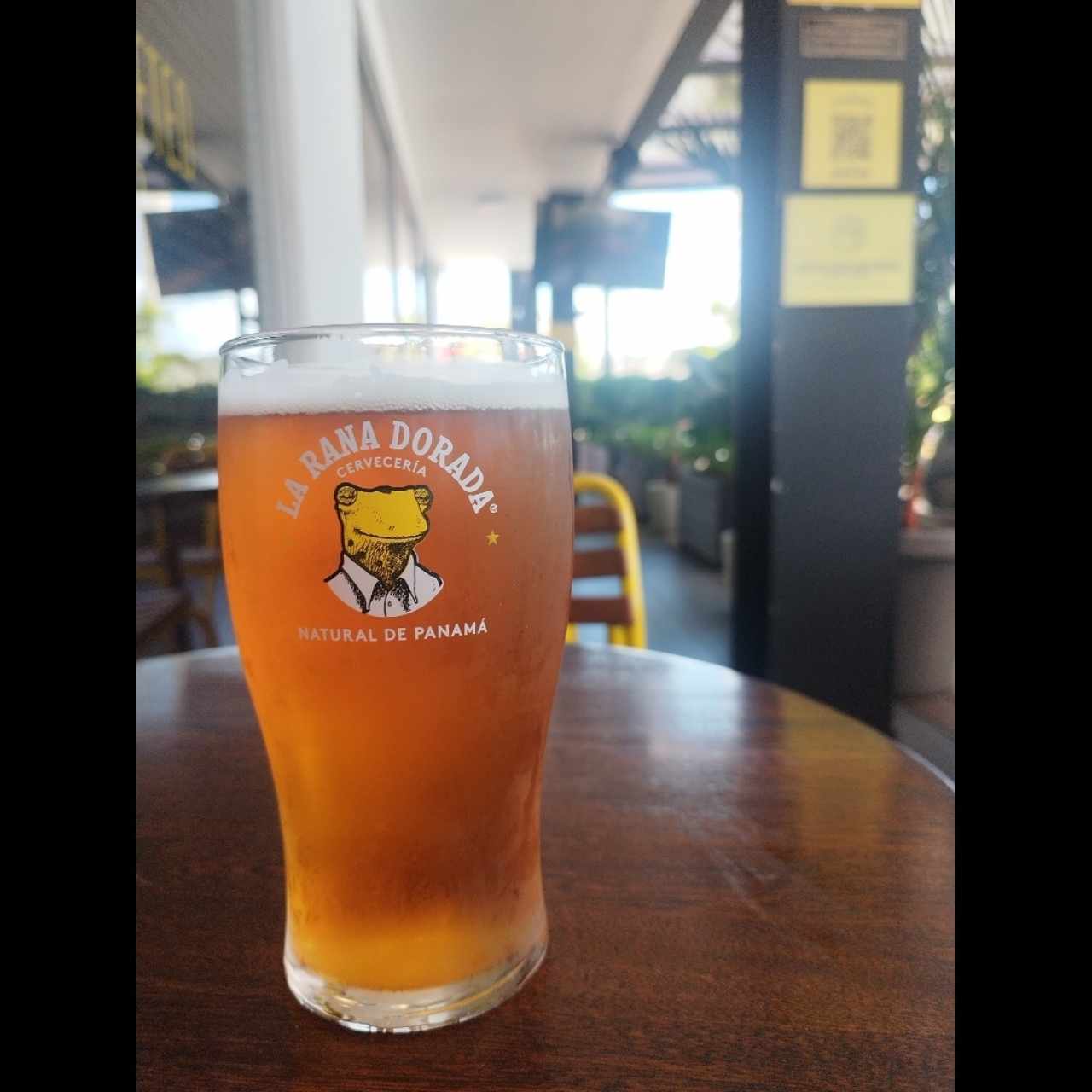 Ipa