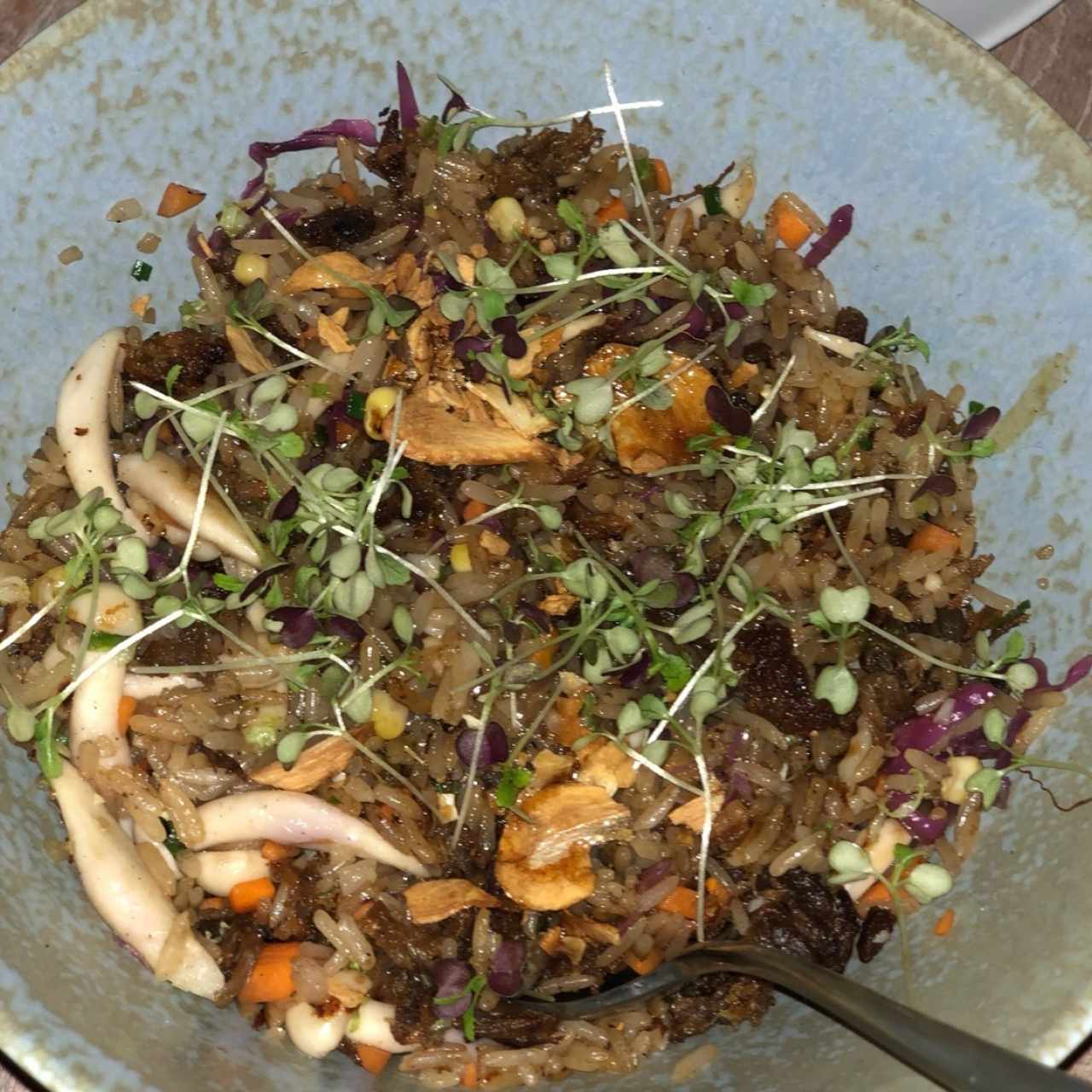 arroz con pato