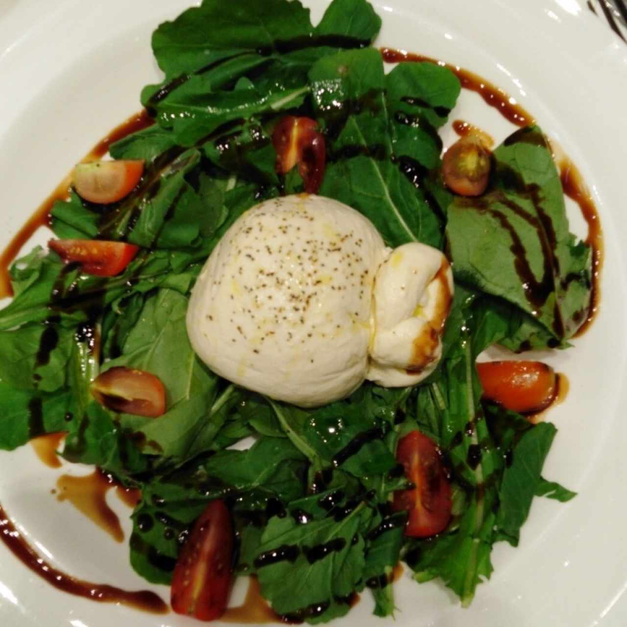 burrata