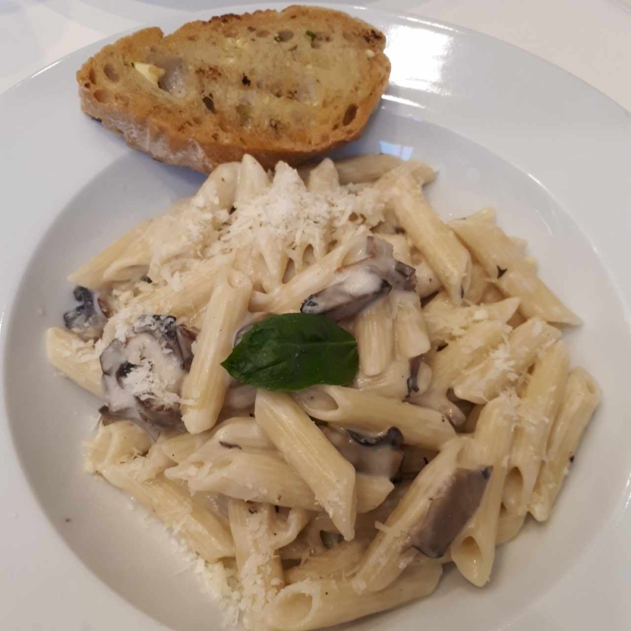 Penne en salsa blanca con hongos