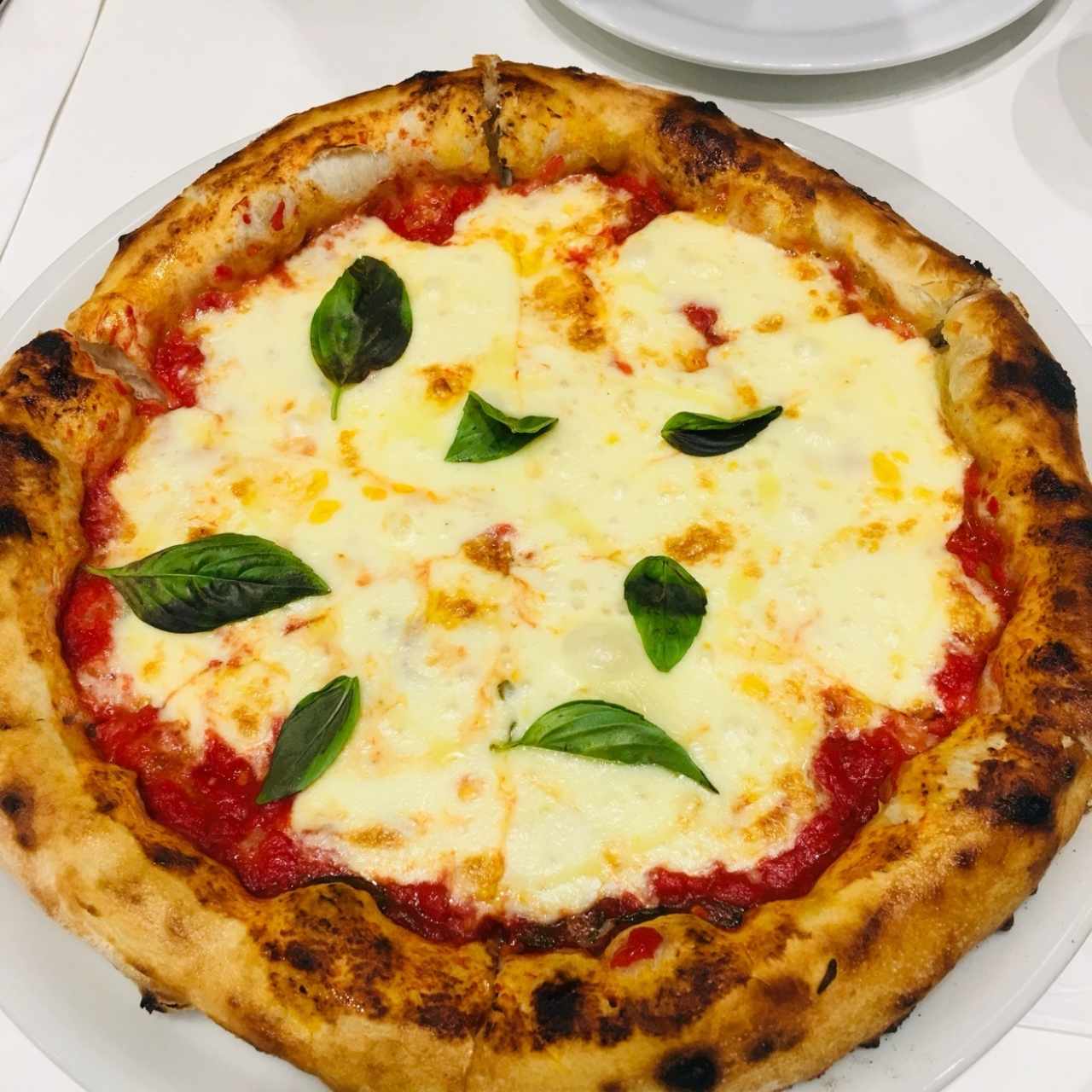pizza margarita 