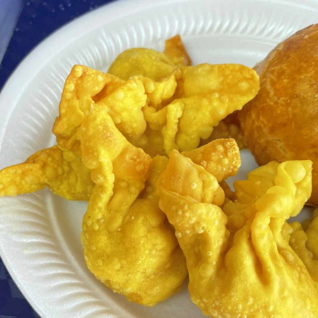 Wanton Frito (10 unidades)