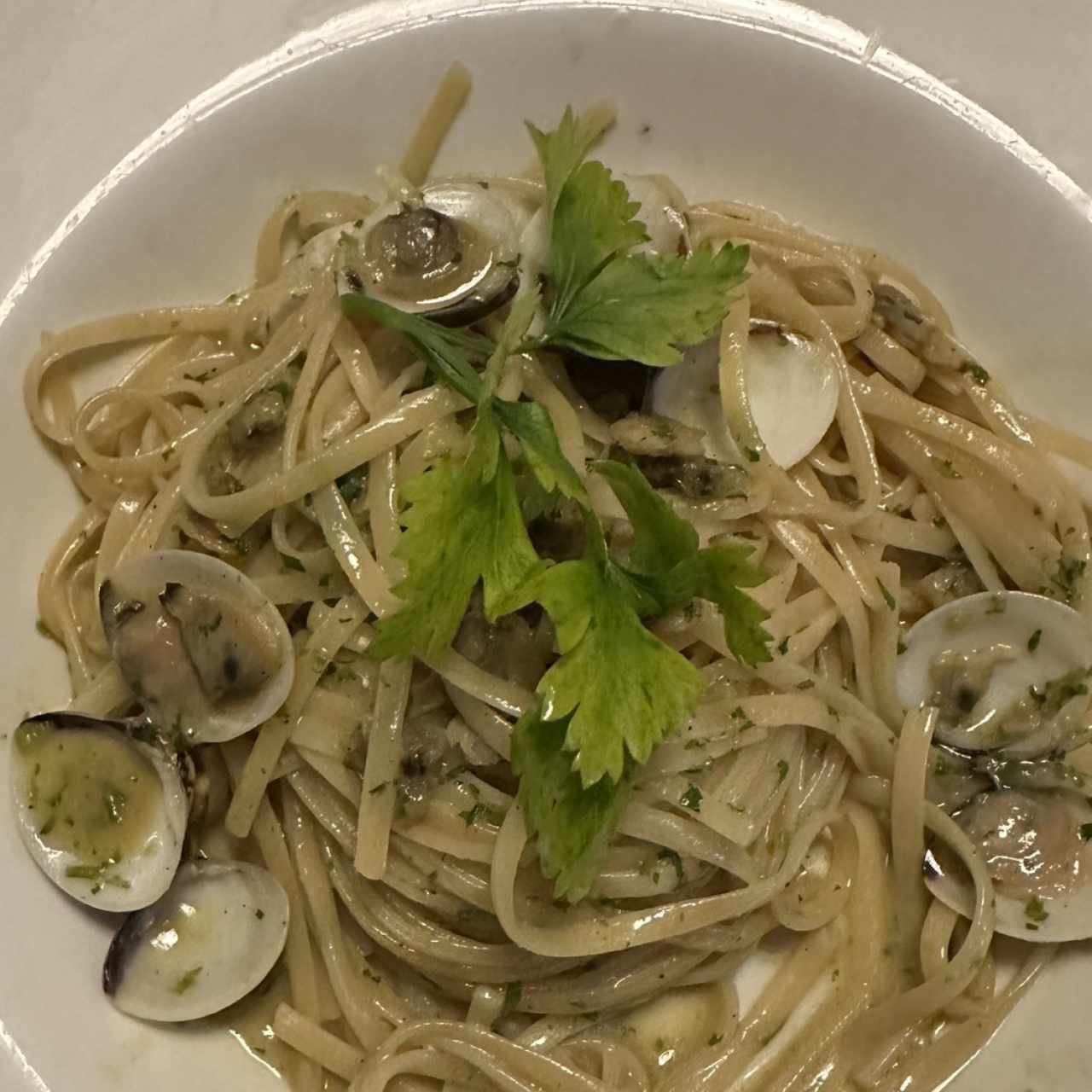 Pastas - Linguini Vongole