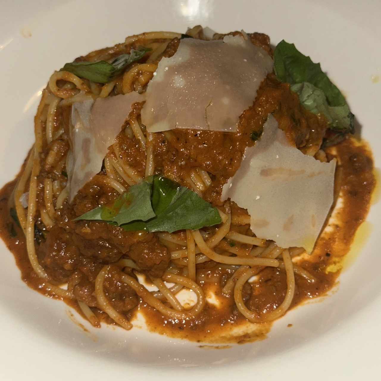 Pastas - Paccheri Alla Bolognesa