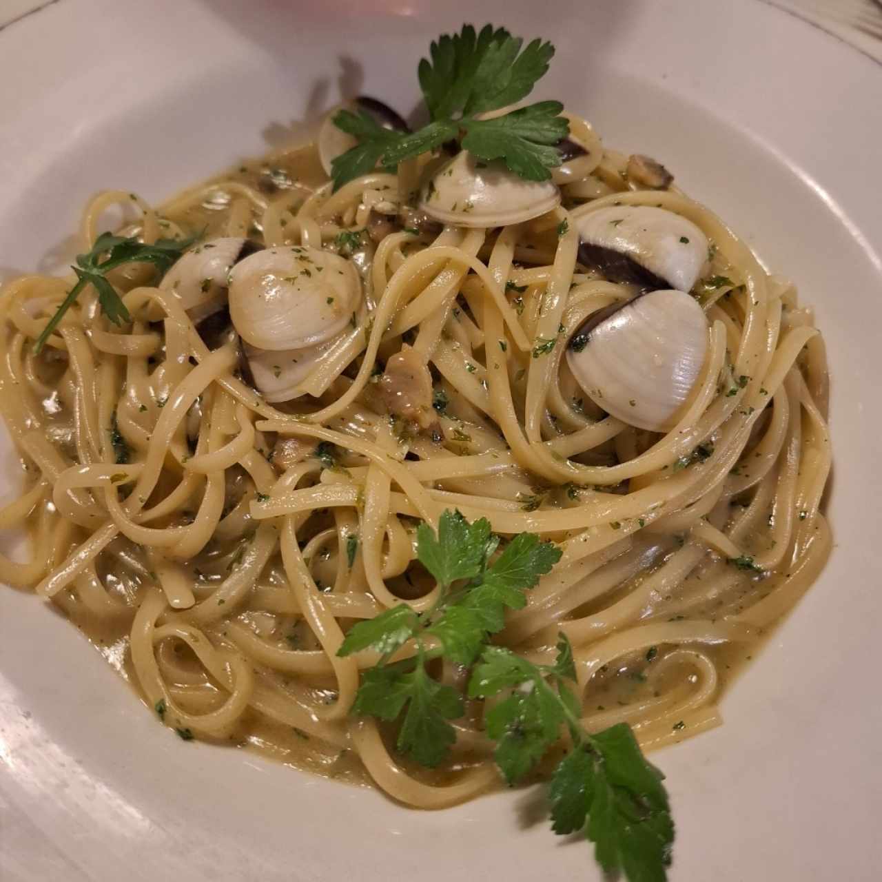 Pastas - Linguini Vongole