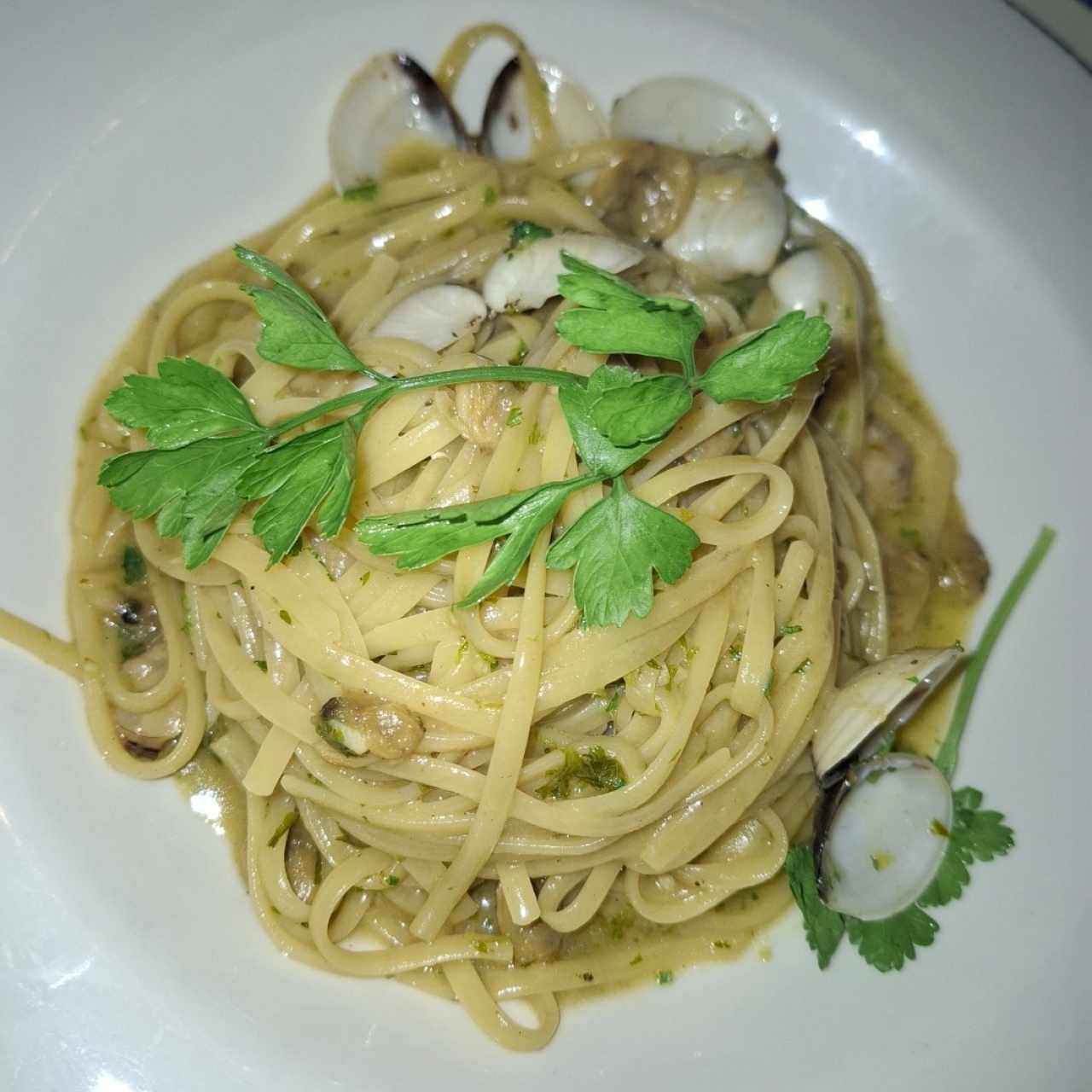 Pastas - Linguini Vongole