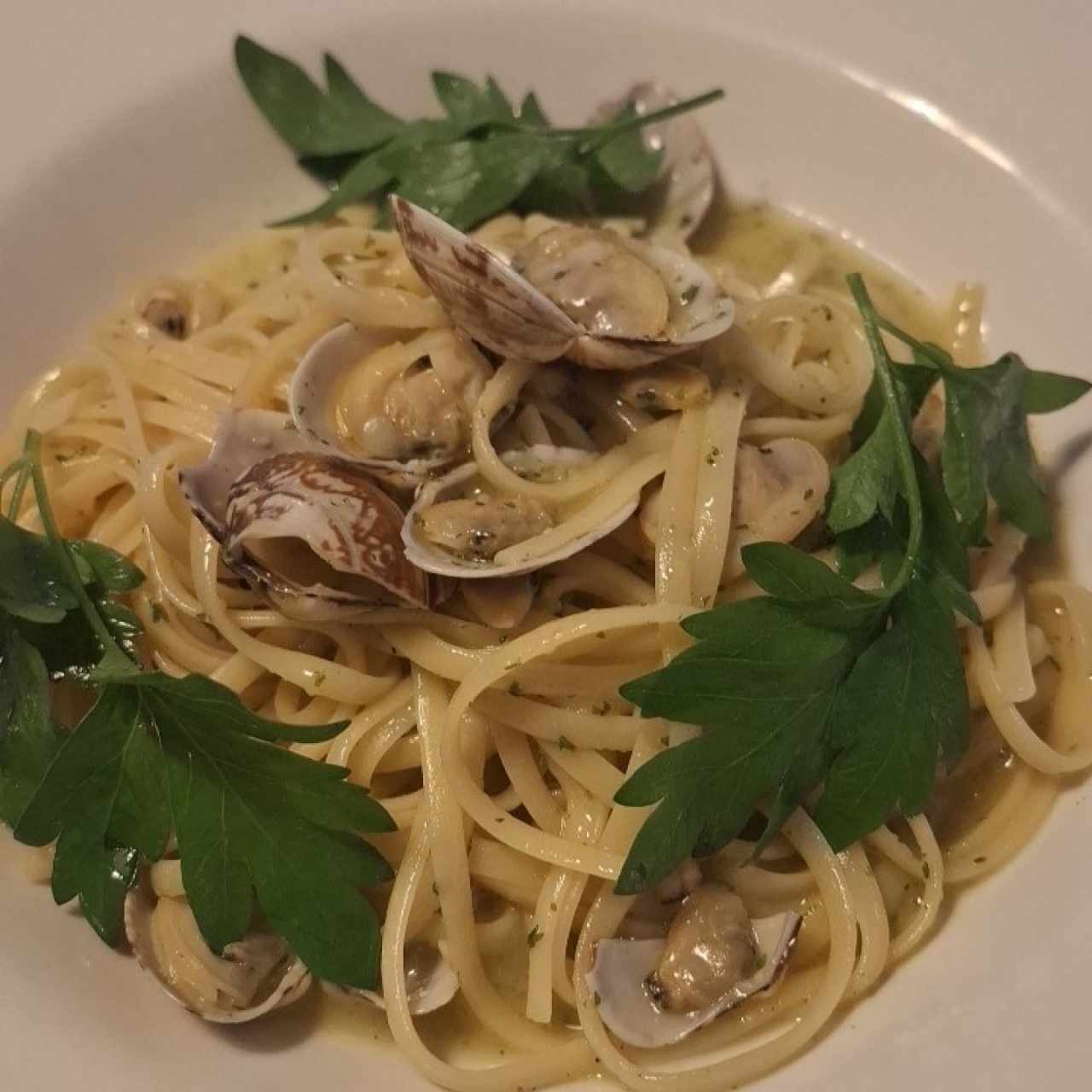 Pastas - Linguini Vongole