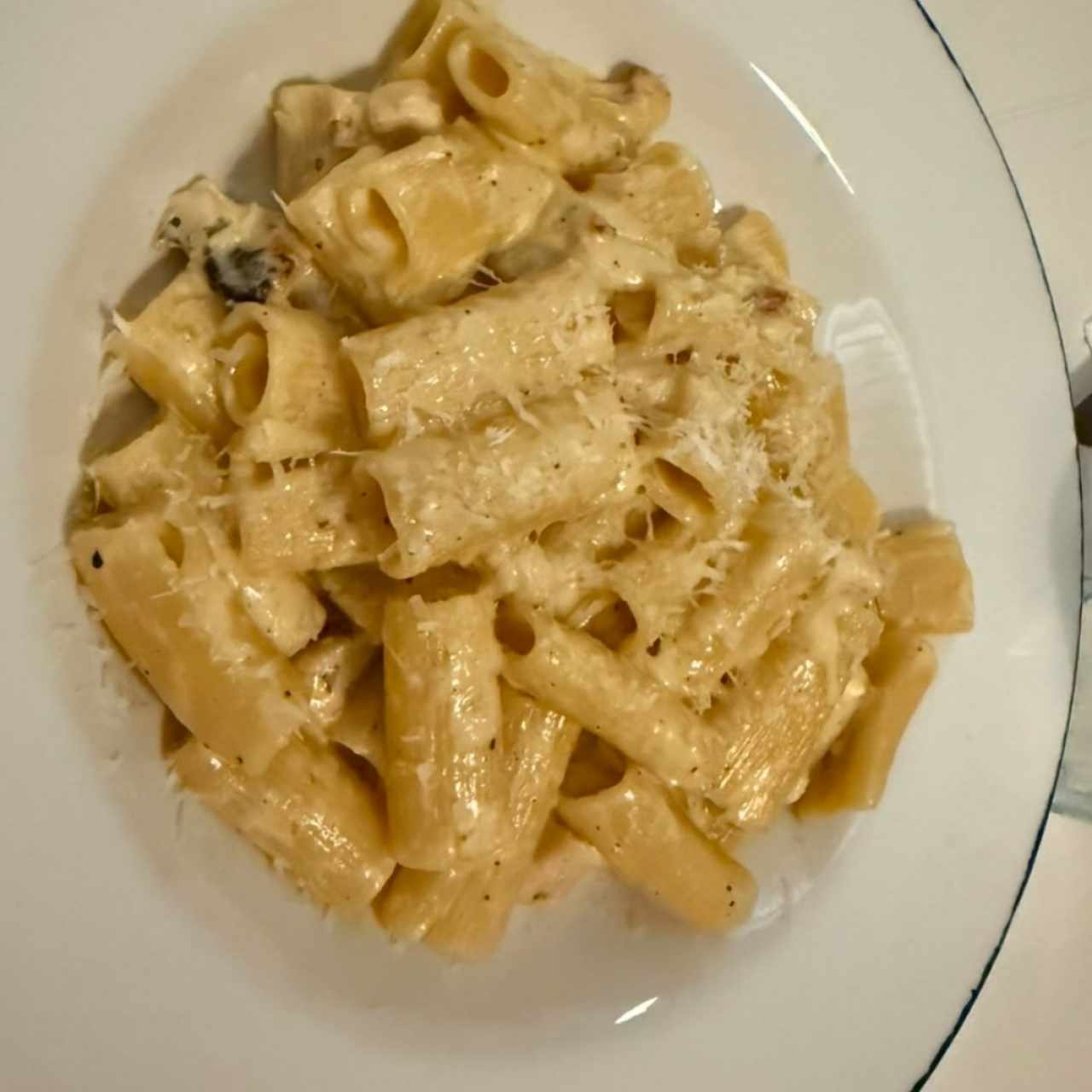 Pasta regatoni caccio e pepe con pollo