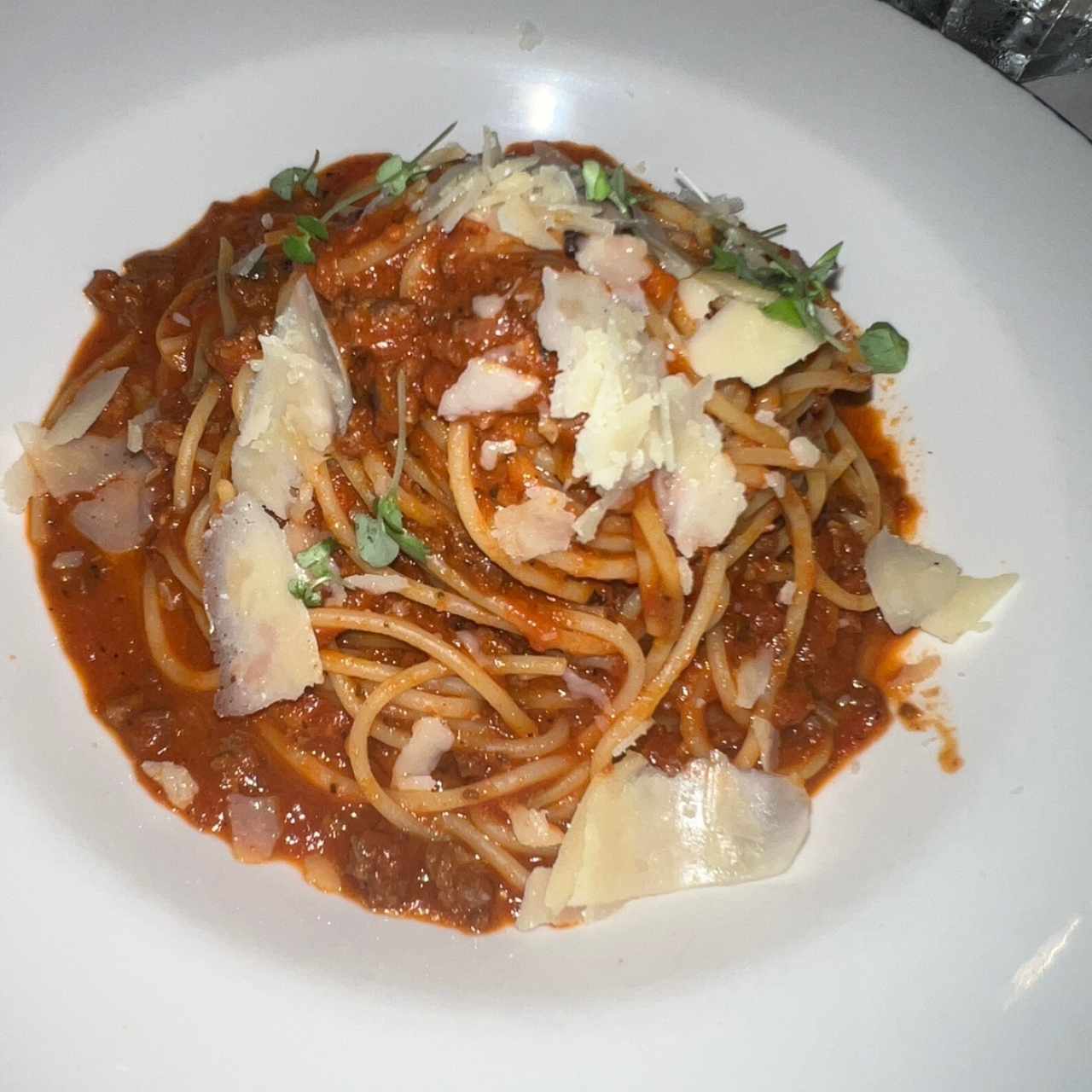Pastas - Paccheri Alla Bolognesa