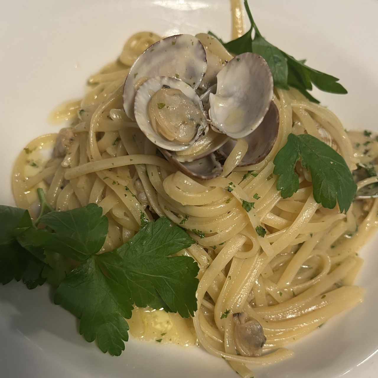 Pastas - Linguini Vongole