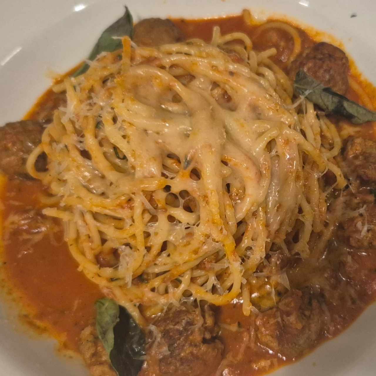 Pastas - Paccheri Alla Bolognesa