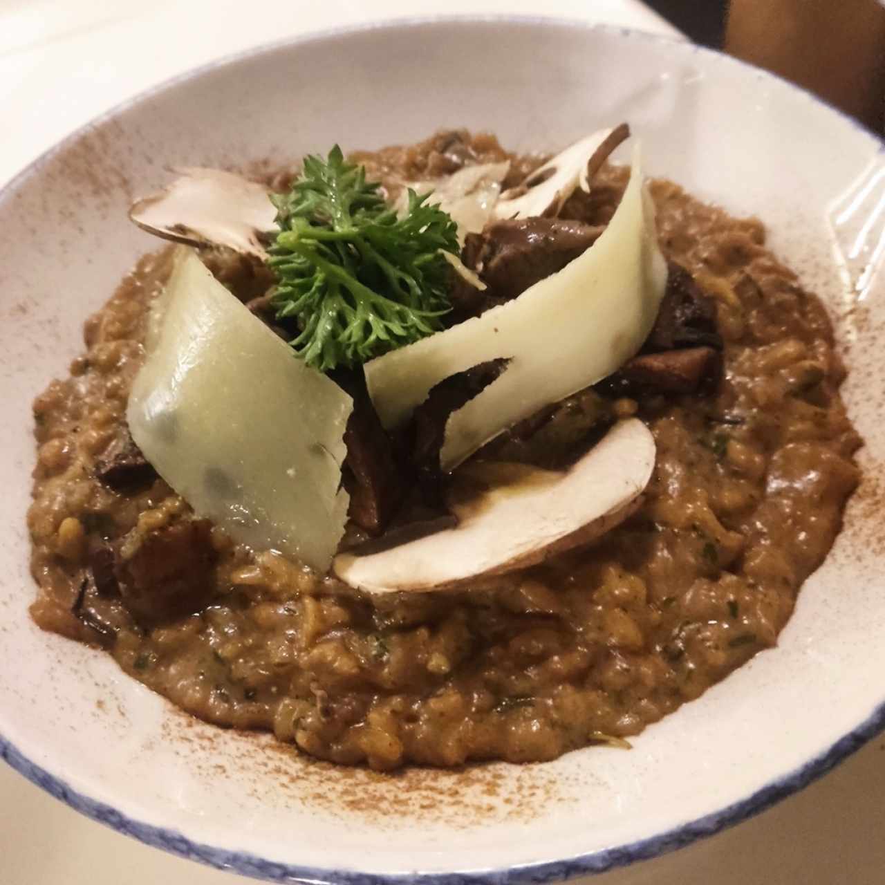 Risottos - Risotto Funghi