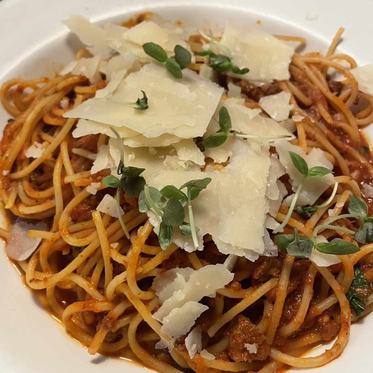 Pastas - Paccheri Alla Bolognesa (spaguetti)