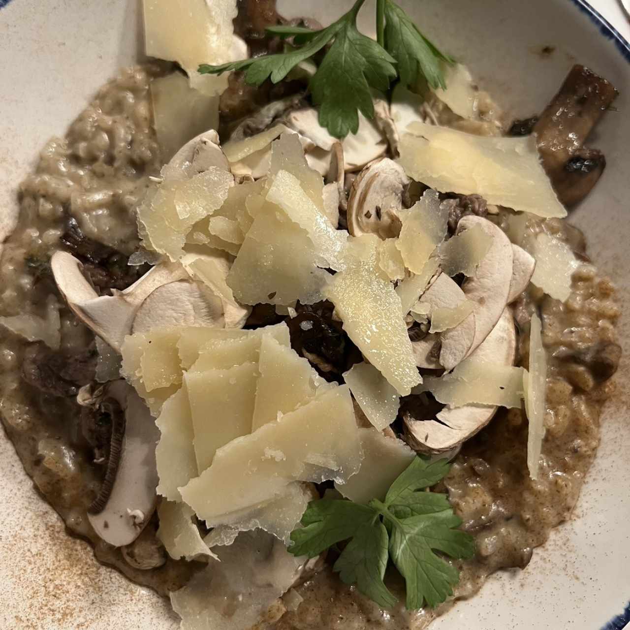 Risottos - Risotto Funghi