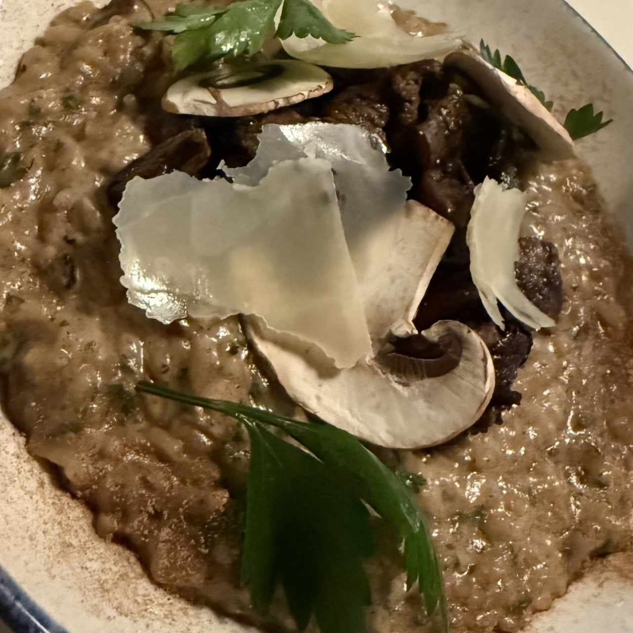 Risottos - Risotto Funghi