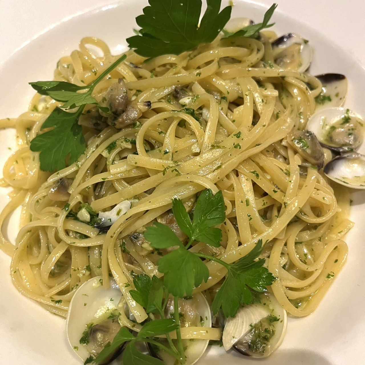 Pastas - Linguini Vongole