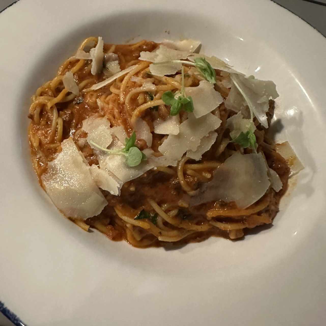 Pastas - Paccheri Alla Bolognesa