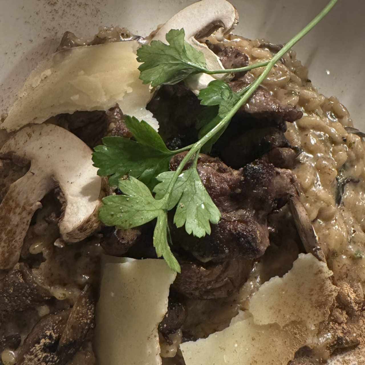 Risottos - Risotto Funghi
