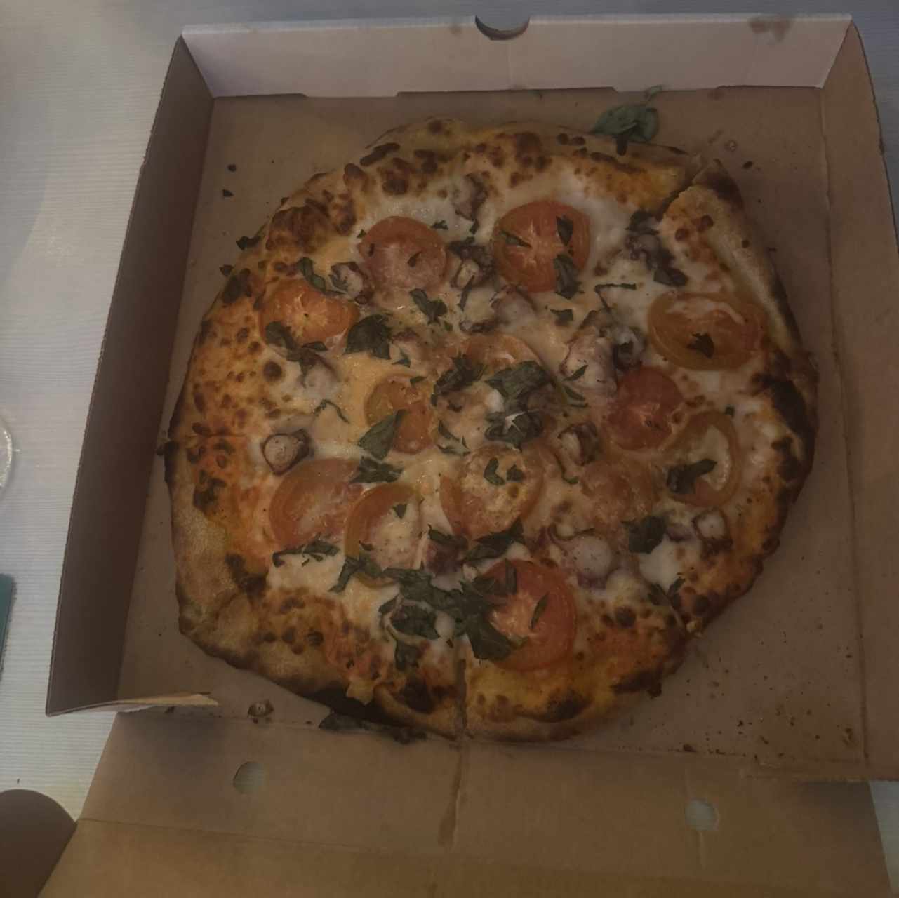 Pizzas - Ocean Life